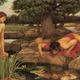 Illustration for article titled The Narcissist in My Pond: As True A Story As I Remember